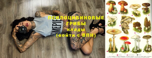 МДПВ Алексеевка