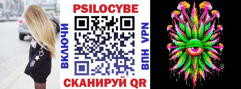 Псилоцибиновые грибы Cubensis  купить закладку  Новоалександровск 
