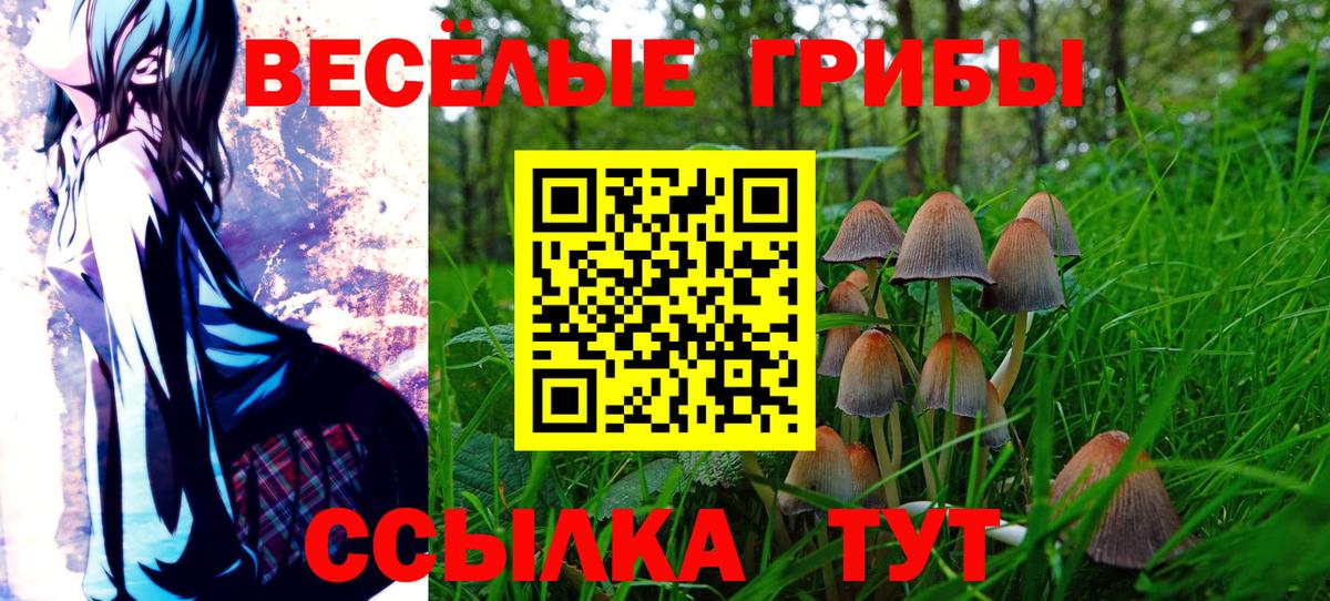 Псилоцибиновые грибы прущие грибы  Вход с VPN  Новоалександровск 
